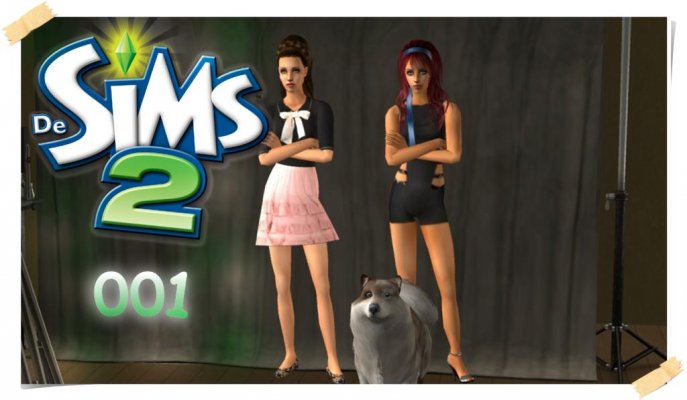 Sims2Part1.jpg