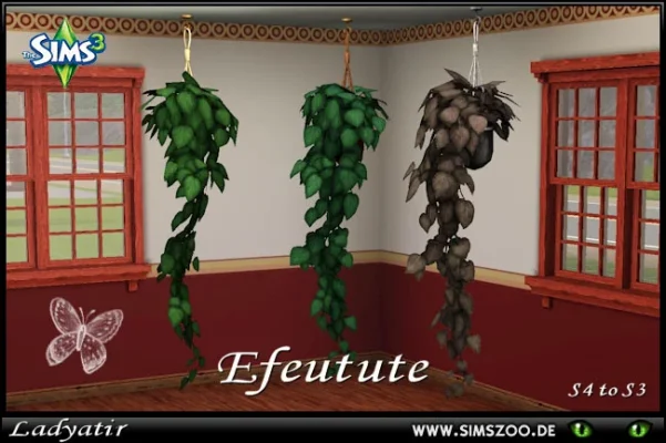 Zoo_LA_S3_Efeutute.jpg