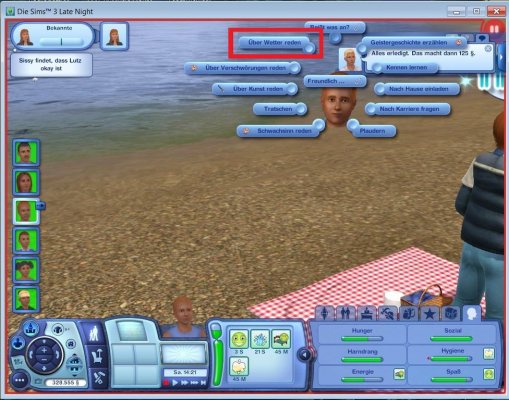 Sims 3 Wetter.jpg