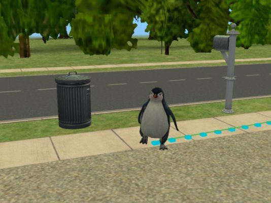 Ein Pinguin kommt zu Besuch (Im Hochsommer).jpg