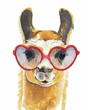lama.jpg